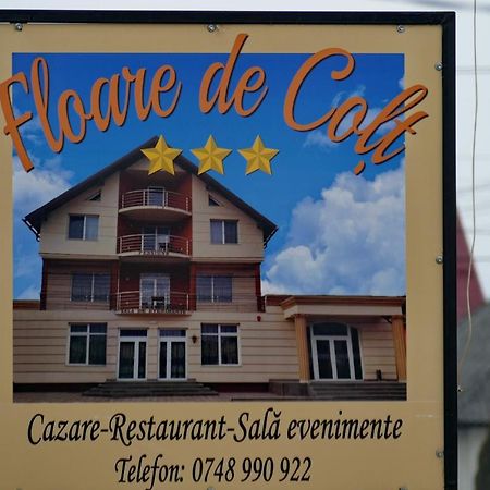 Floare De Colt Hotell Berbesti Eksteriør bilde